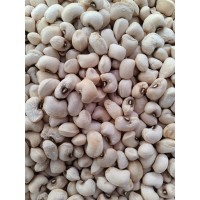 Legumes Pulses Peas and Beans