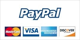 PayPal and Credit Cards Logo